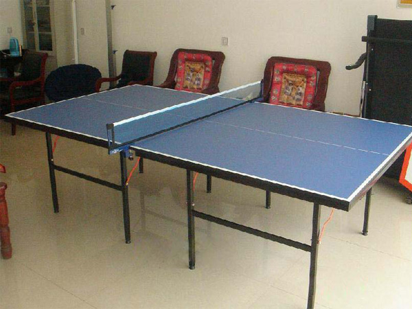 single fold table tennis table